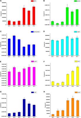 Ralstonia solanacearum Infection Disturbed the Microbiome Structure Throughout the Whole Tobacco Crop Niche as Well as the Nitrogen Metabolism in Soil